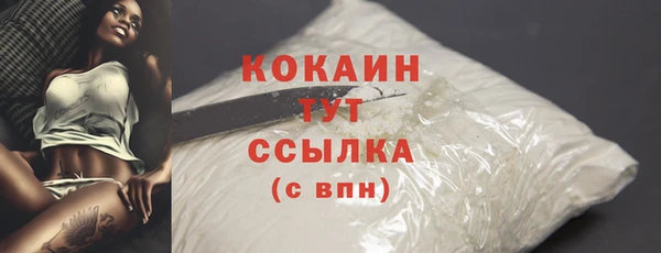 прущий лед Богданович