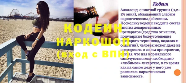 прущий лед Богданович
