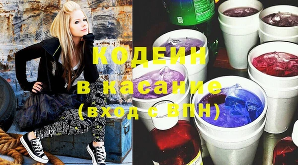 прущий лед Богданович