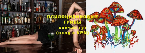 прущий лед Богданович