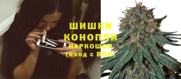 прущий лед Богданович